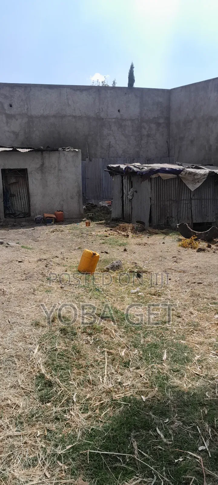 አስቸካይ የሚሸጥ መሬት