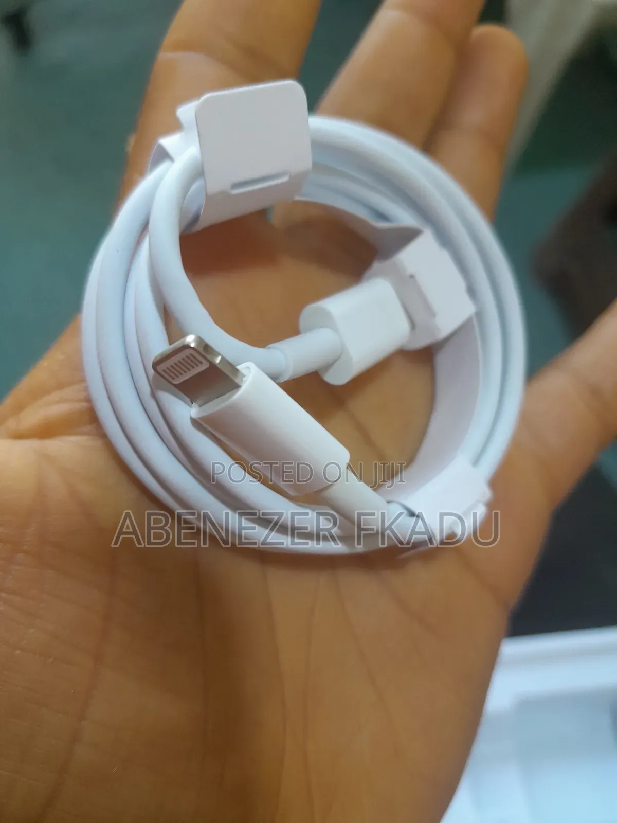 iPhone Cable and Charger