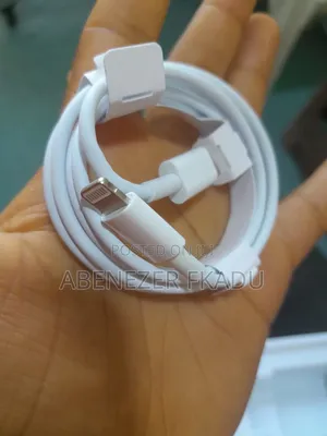 iPhone Cable and Charger
