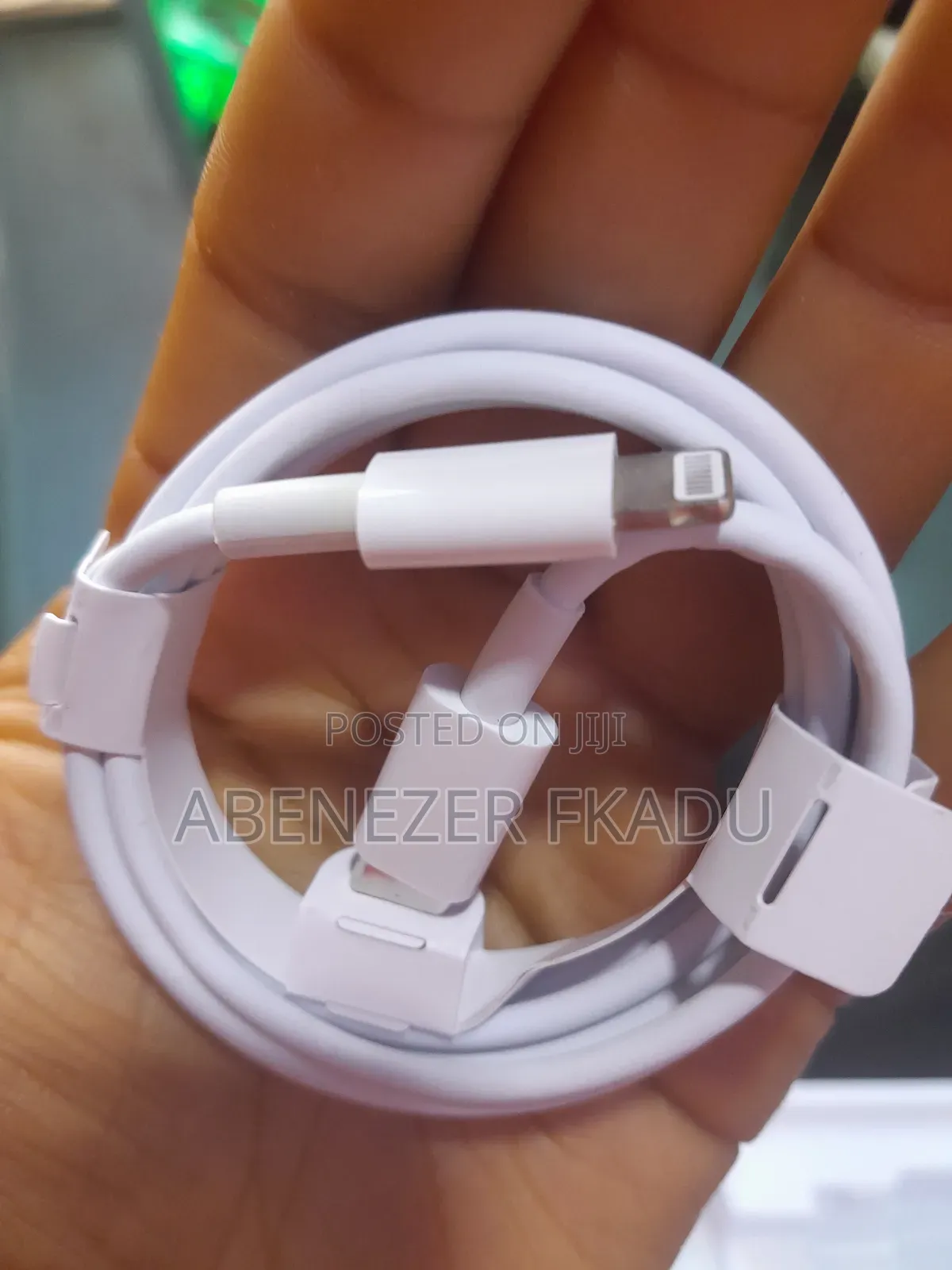 iPhone Cable and Charger