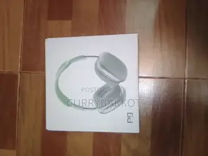P9 Headphone Brand New