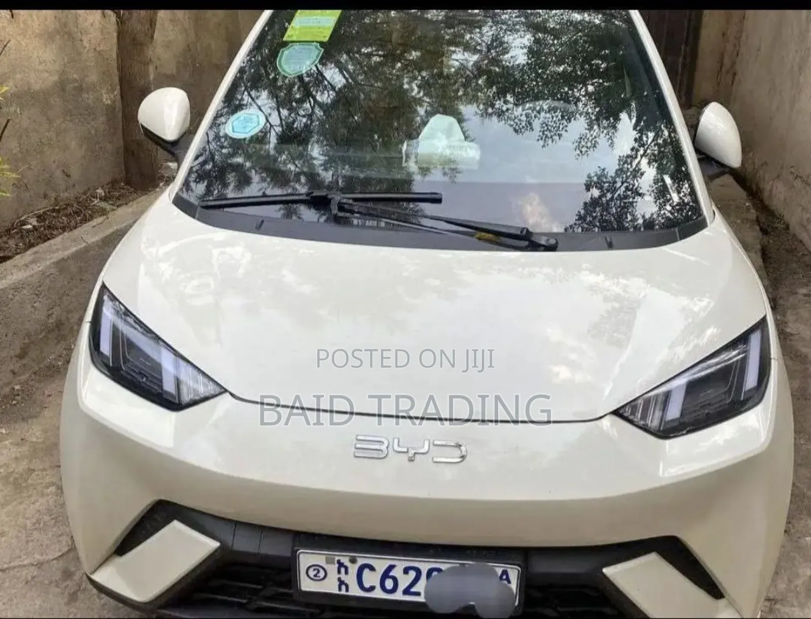 BYD Seagull 2024 Ivory