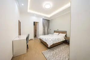 Furnished 3bdrm Apartment in Bole for rent