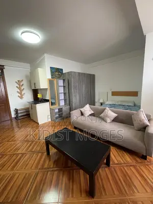 Furnished 1bdrm Apartment in Bole for rent