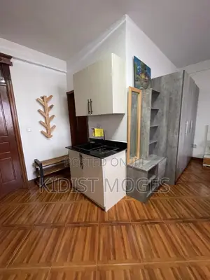 Furnished 1bdrm Apartment in Bole for rent