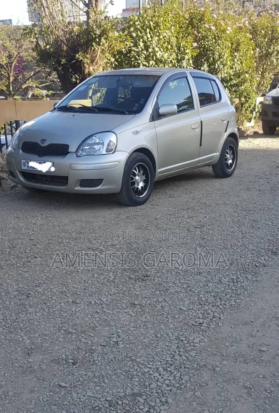Toyota Vitz 2003 Gold