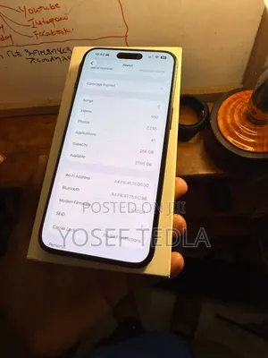 Apple iPhone 15 Pro Max 256 GB Gray