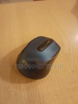 Wireless Dell Mouse