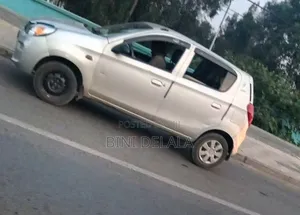 Suzuki Alto 2022 Silver