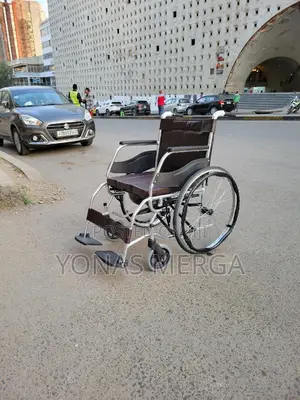Self-Propelling Type Wheelchairs, Well Known塚凹toilet Wheelchair