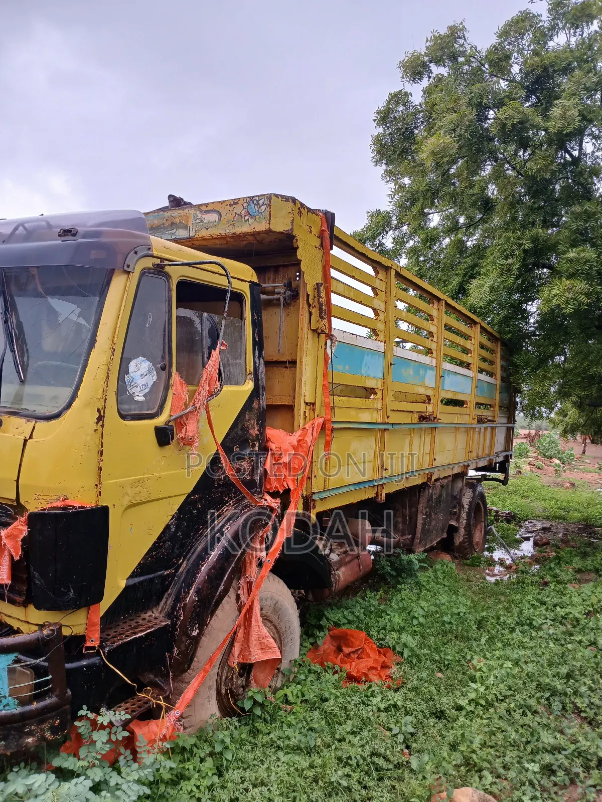 Heavy-Duty Cargo Truck for Sale – Repairable – With Libre Plate