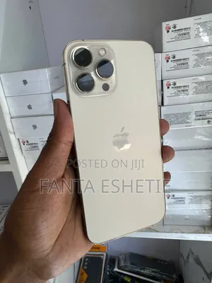 Apple iPhone 13 Pro Max 256 GB Silver