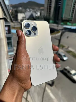 Apple iPhone 13 Pro Max 256 GB Silver