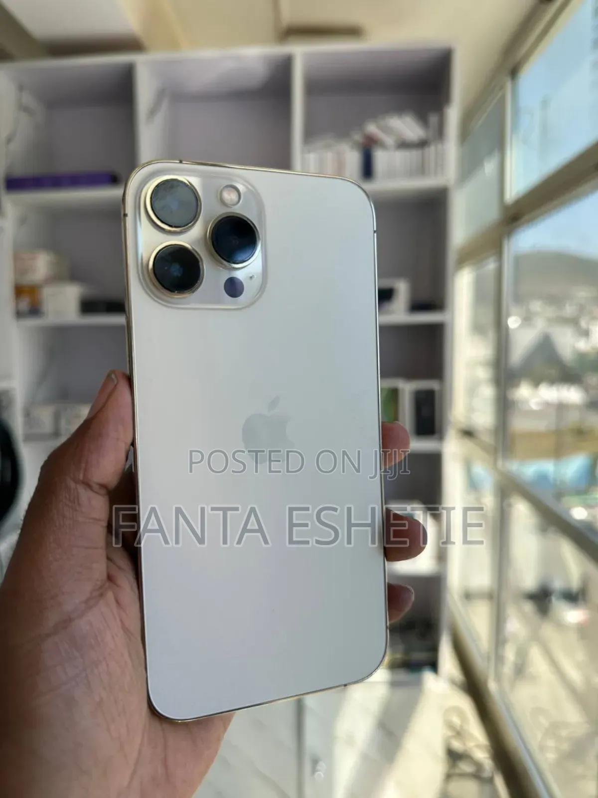 Apple iPhone 13 Pro Max 256 GB Silver