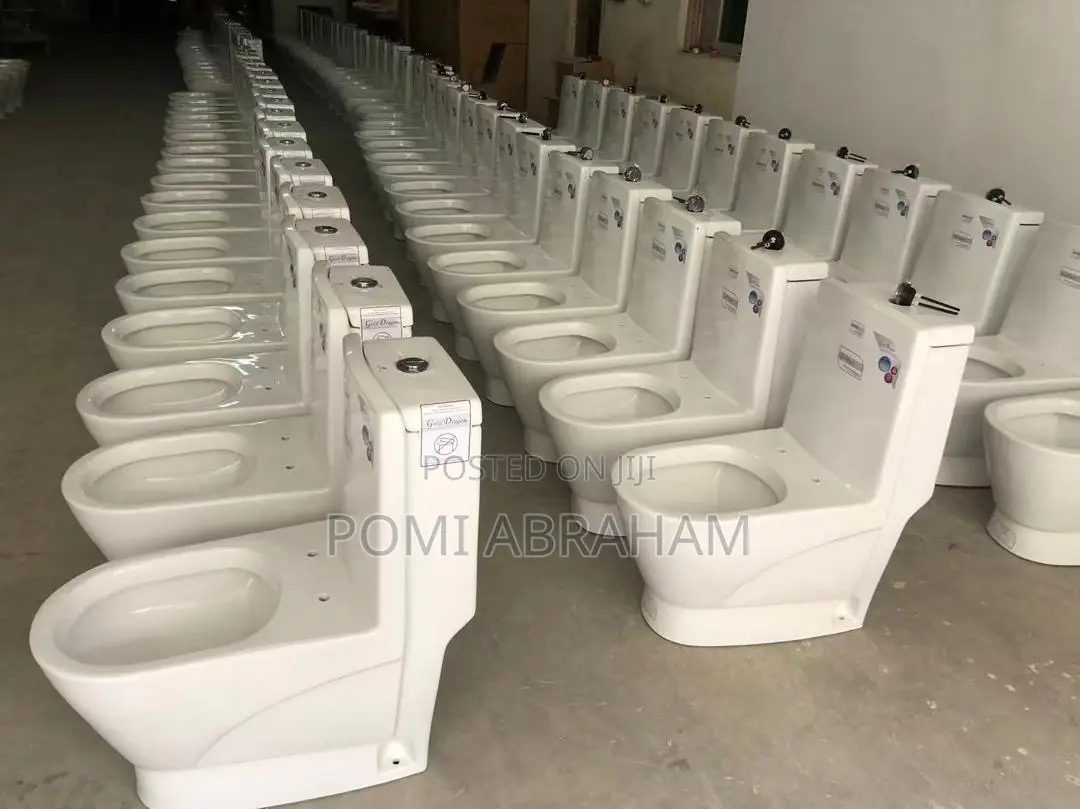 Toilet Seat Gold Dragon