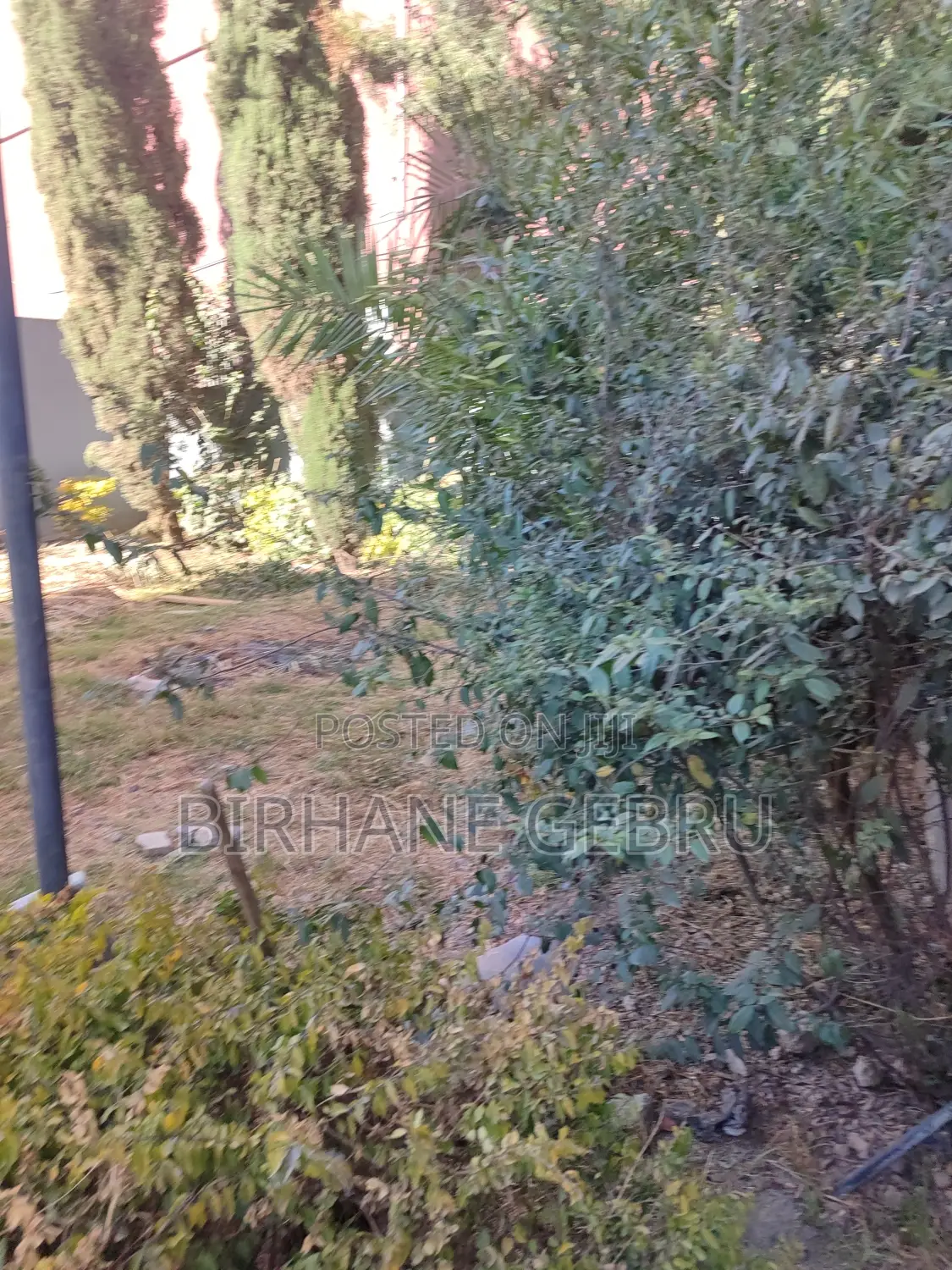 8bdrm House in G+2 House, Bole for rent