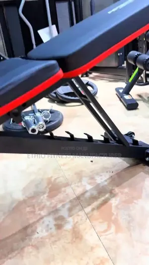 Adjustable Workout Bench