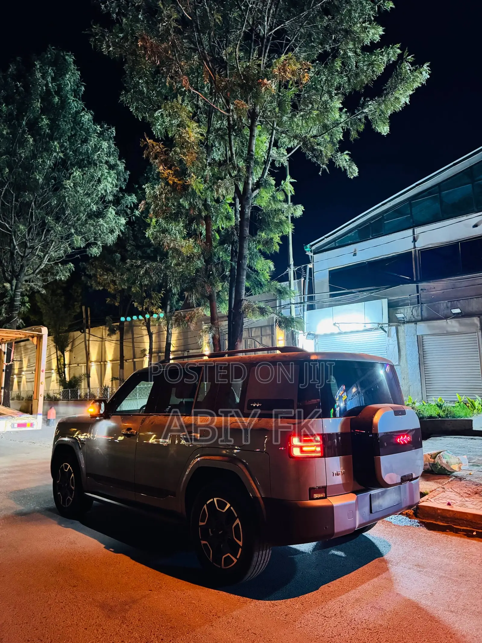 New BYD Leopard 7 2025 Gray