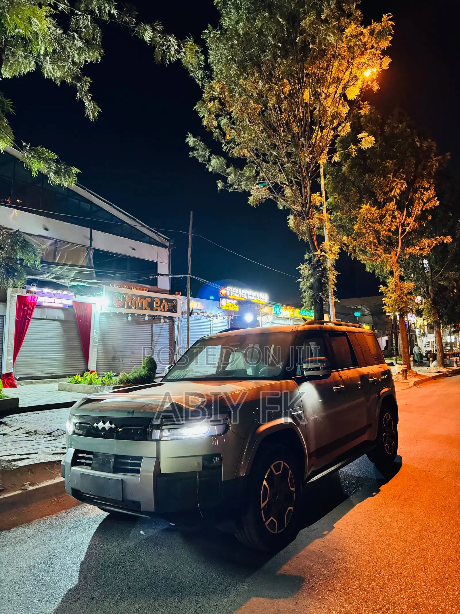 New BYD Leopard 7 2025 Gray