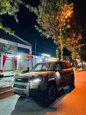 New BYD Leopard 7 2025 Gray