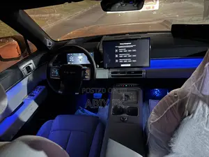 New BYD Leopard 7 2025 Gray