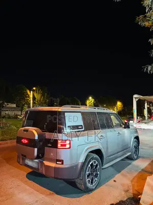 New BYD Leopard 7 2025 Gray