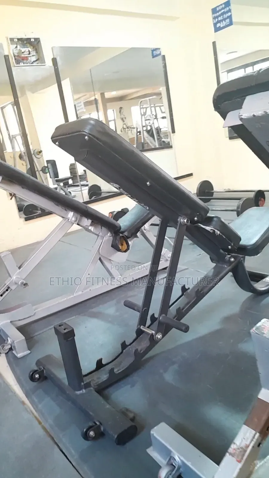 Adjustable Bench for Home and Gymadjustable Bench for Home and Gym