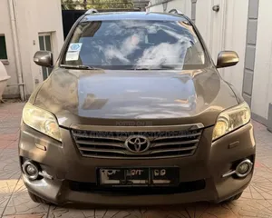Toyota RAV4 2010 Gray