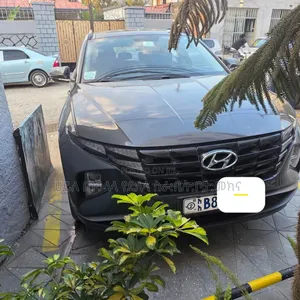 Hyundai Tucson 2021 Gray