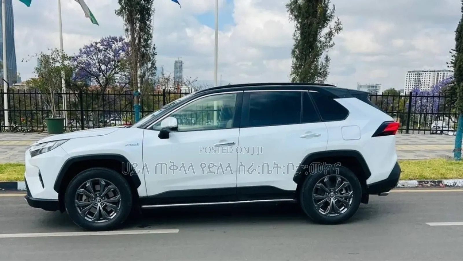 Toyota RAV4 Hybrid 2024 White