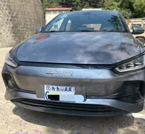 BYD E2 43 kWh 94 hp FWD 2024 Gray