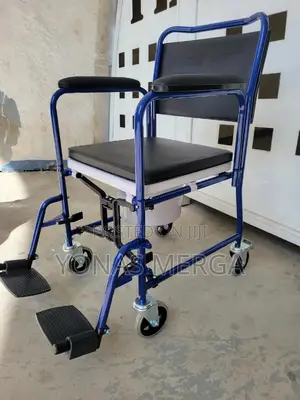 Wheelchair Bathroom Toilet/Bathroom Wheelchair Fixed Pw0502 Blue