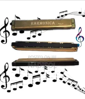 24-Hole Tremolo Harmonica