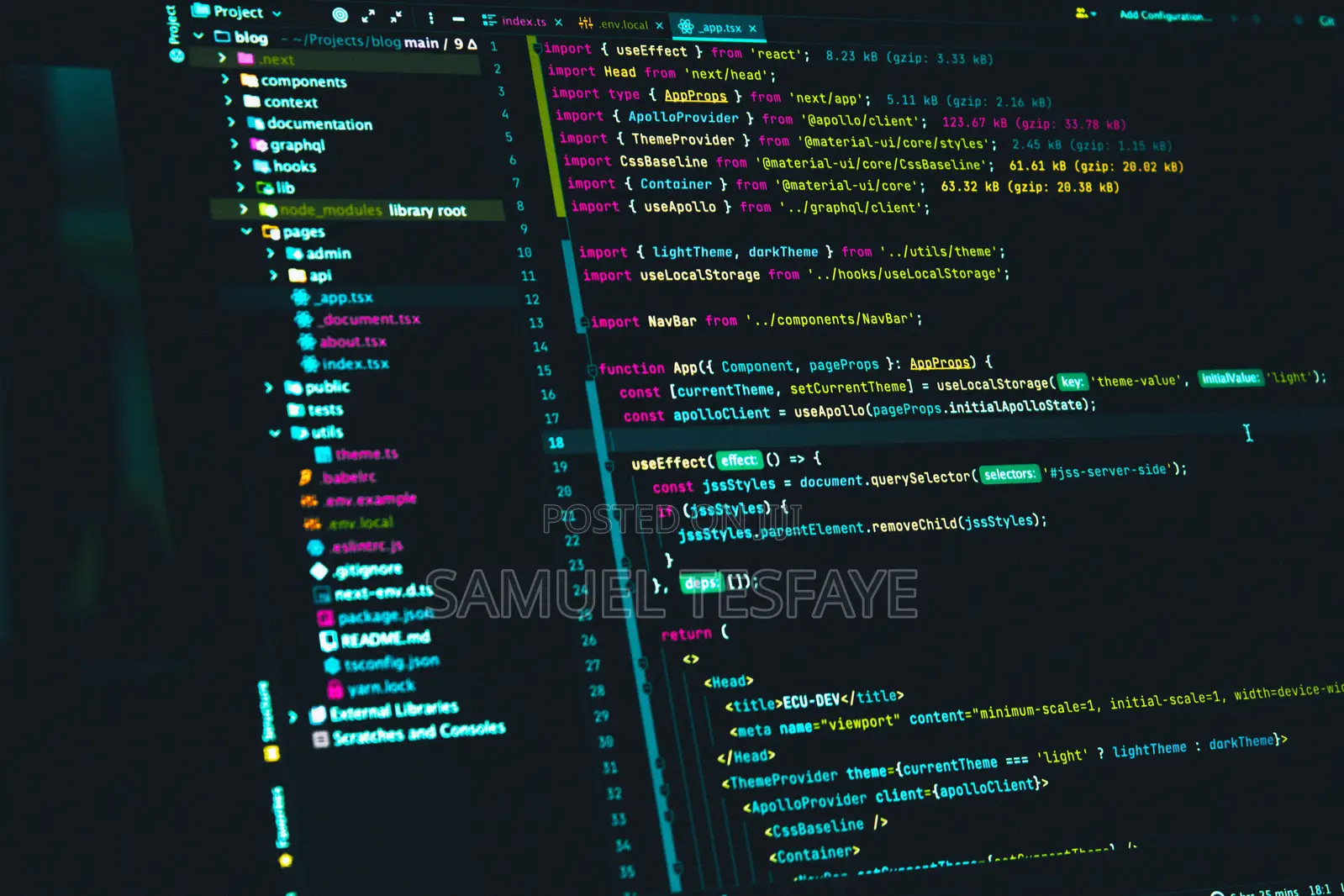 Custom Website and Software Development