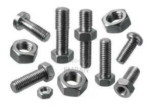 Stainless Bolt and Nut