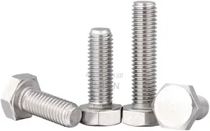 Stainless Bolt and Nut