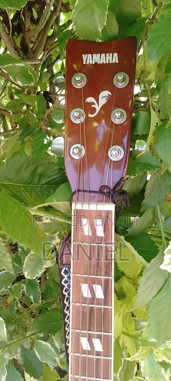 Professional Yamaha F-6000 Acoustic Guitar