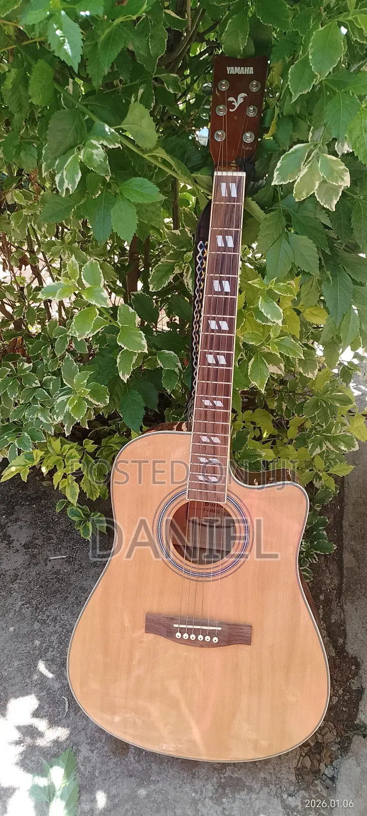 Professional Yamaha F-6000 Acoustic Guitar