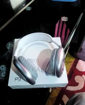 P9 Customized Headphone