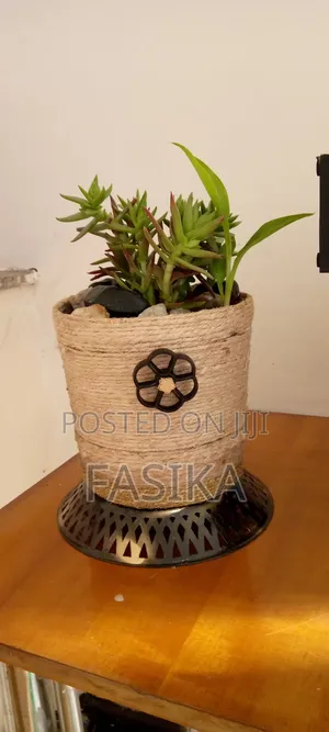 Flower Pot With Natural Flower