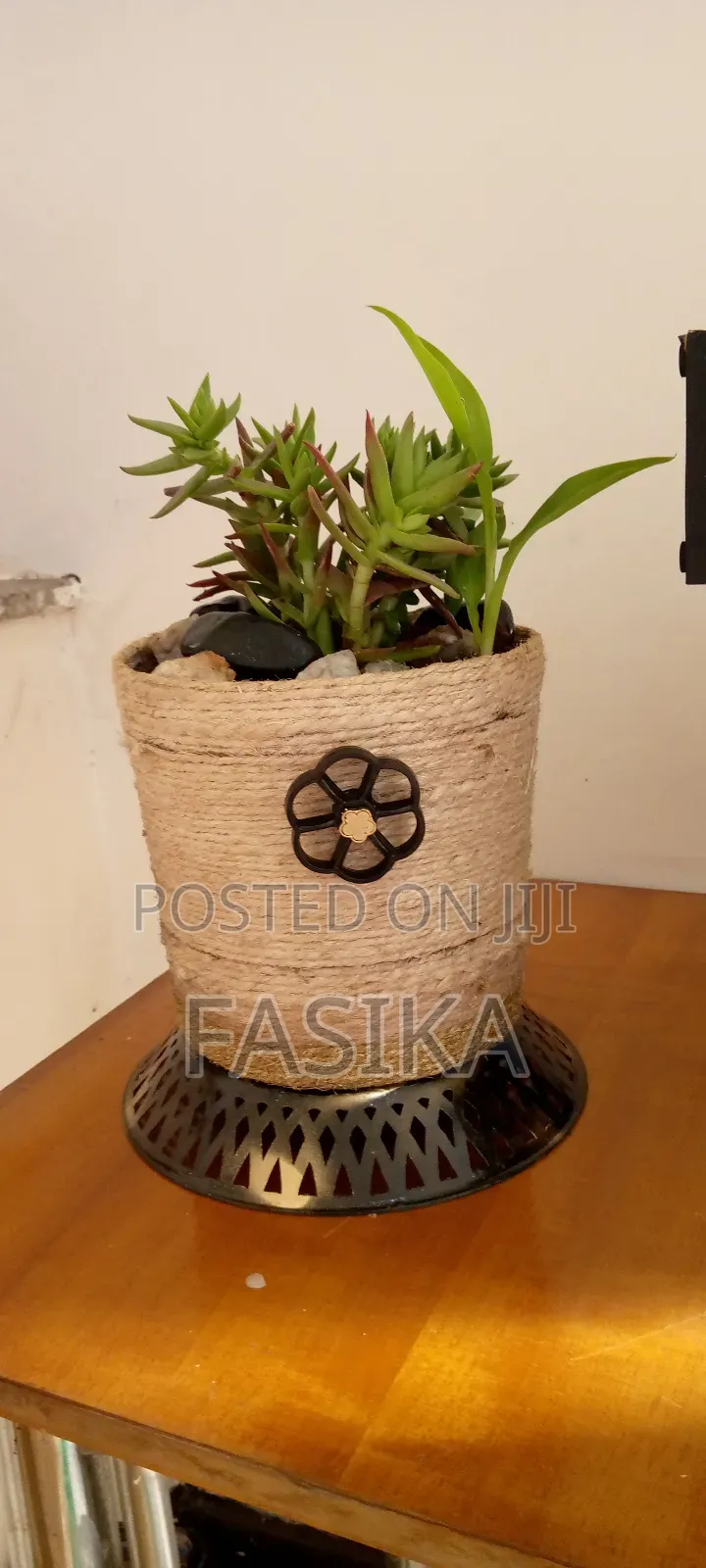 Flower Pot With Natural Flower