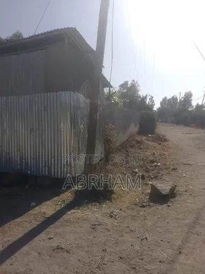 መንደር የሚያክል ቦታ ለሽያጭ