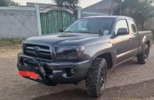 Toyota Tacoma 2011 Gray