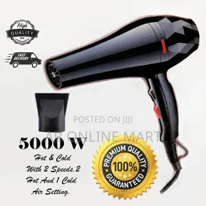 Pro Remington Extreme Professional Hairdryer