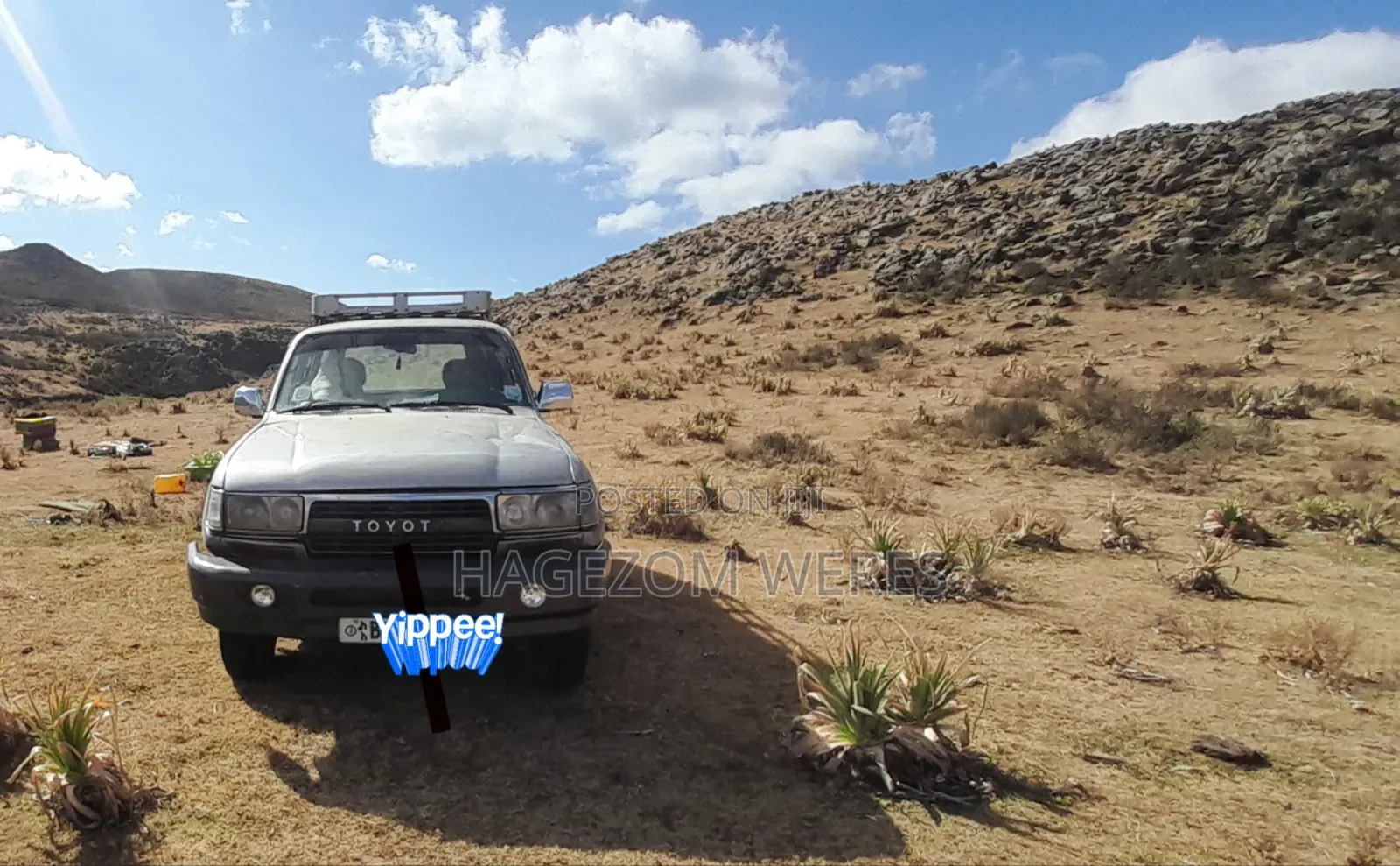 Toyota Land Cruiser 80 Wagon 4.5 1994 Gray