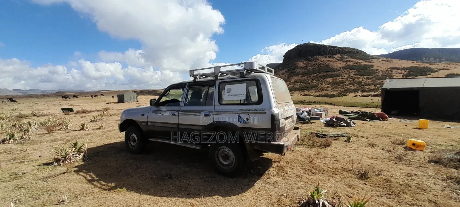 Toyota Land Cruiser 80 Wagon 4.5 1994 Gray