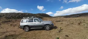 Toyota Land Cruiser 80 Wagon 4.5 1994 Gray