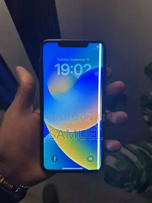 Apple iPhone 11 Pro Max 256 GB Gray