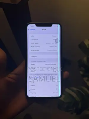 Apple iPhone 11 Pro Max 256 GB Gray