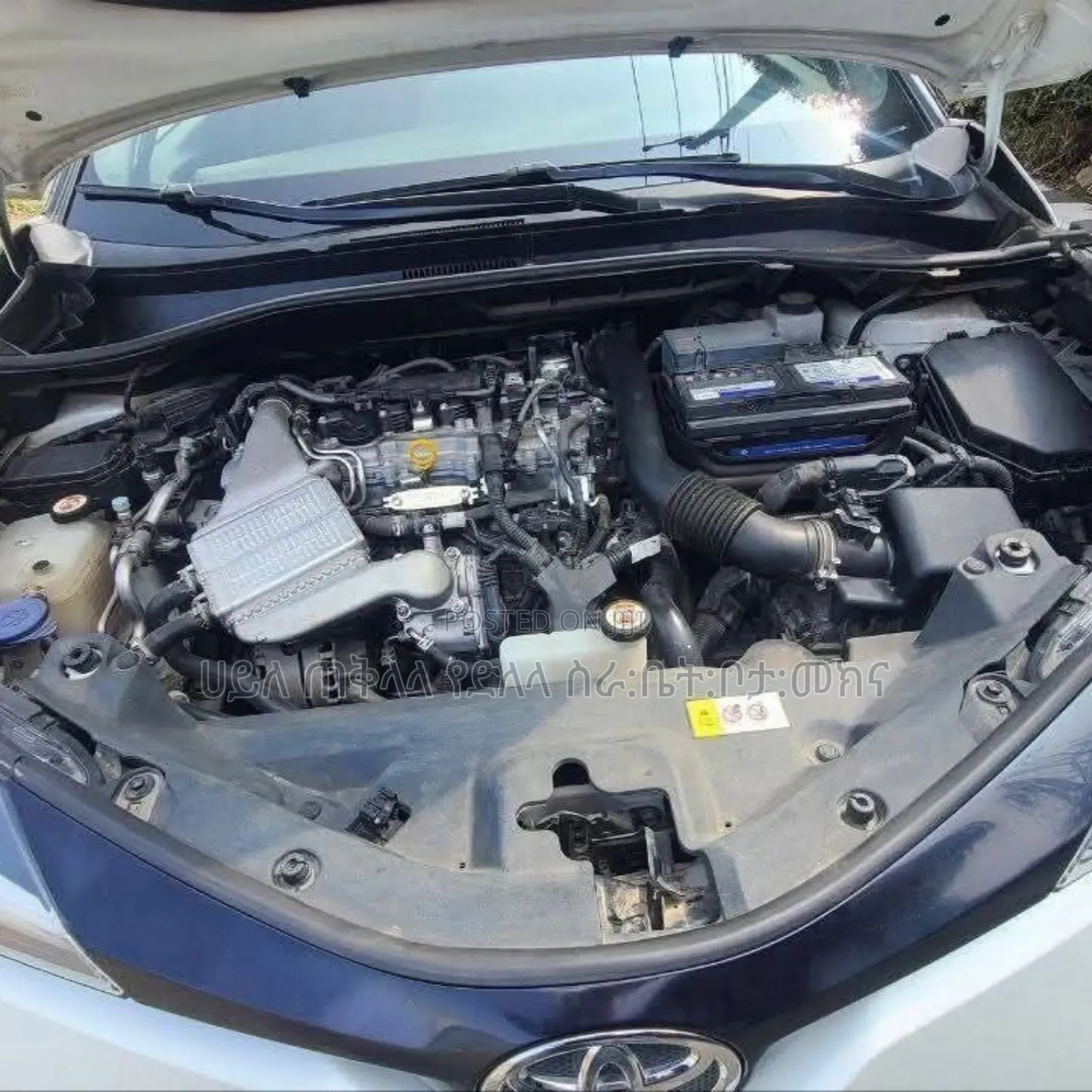 Toyota C-HR 2022 Ivory